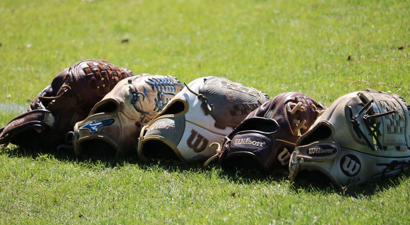 Arkansas Monticello - Softball